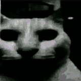 1743966016232483