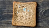 Mold bread