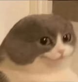 1743553590648583