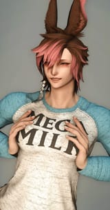 ffxiv_dx11 2025-07-20 20-02-39