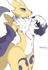 kokokokokodari