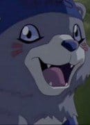 bear_smile