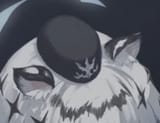gildaria hat