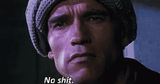 no shit