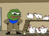 indoor chicken farmer pepe