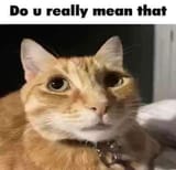 1752000939847277