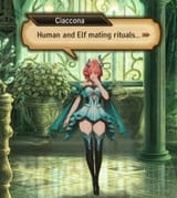 ciccona_human_and_elf_mating_rituals