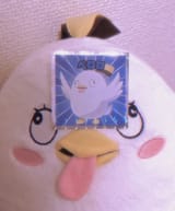 333536363