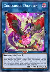 72218246