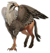 Hippogriff_color