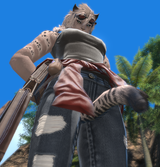 woober2
