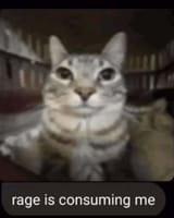 1715011378225628