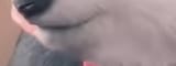 1723146831777196