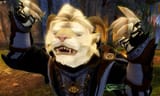 tard cat