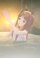 2456245