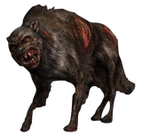 Pseudodog_model