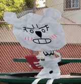 teri the dumb phoneposter