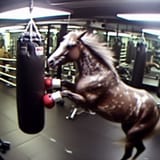 hors