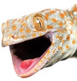 rar