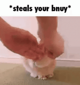 steals your bnuy