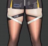 Legs