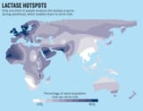 lactose map