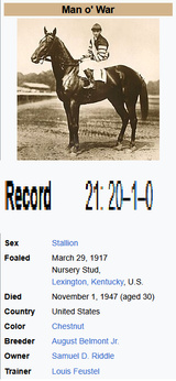 horsegod