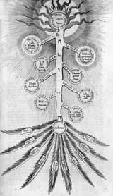 Robert 1574 1637 Fludd - Sephirot Tree of Life 1617 - (MeisterDrucke-673998)