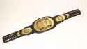 championbelt_thumb.jpg