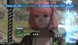 ffxiv_dx11_VMKv5ivJbK