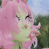not_sl_image