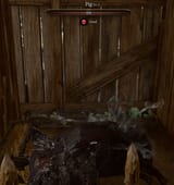 dead swine