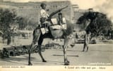 Army_camels5