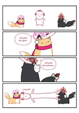 sensei foxes