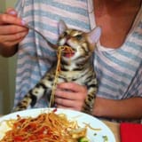 delicious pasta