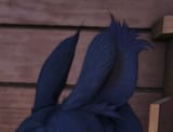 2025-06 ears