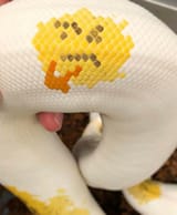 1588841345825