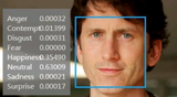 todd no fear