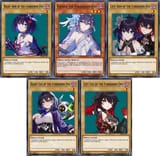 1738296943519509