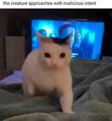 20250313_105340