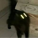 1728622171260994