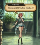 ciaccona_human_and_elf_mating_rituals