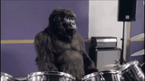 giphy (1)