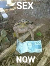 1723619730059