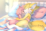 cuddle