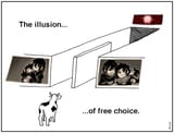 Illusion of Free Choice