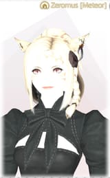 zmc