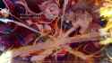“勝つ”のは、俺だ──ッ[sound=files.catbox.moe%2F8z9pic.mp3]_thumb.jpg
