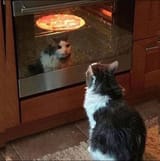 pizzavun