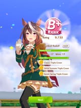 17234876435
